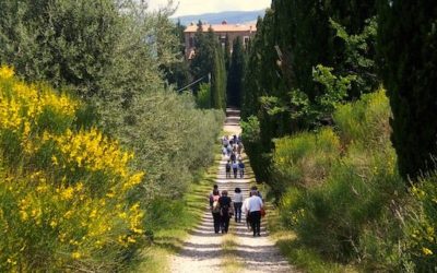 Passeggiata di primavera – edizione 2013